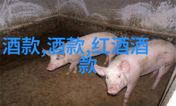 探秘江南水乡上海周边旅游景点大全排名