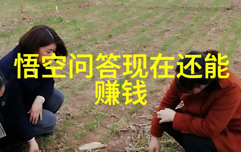探索周边世界发现那些隐藏在视线之外的美好东西