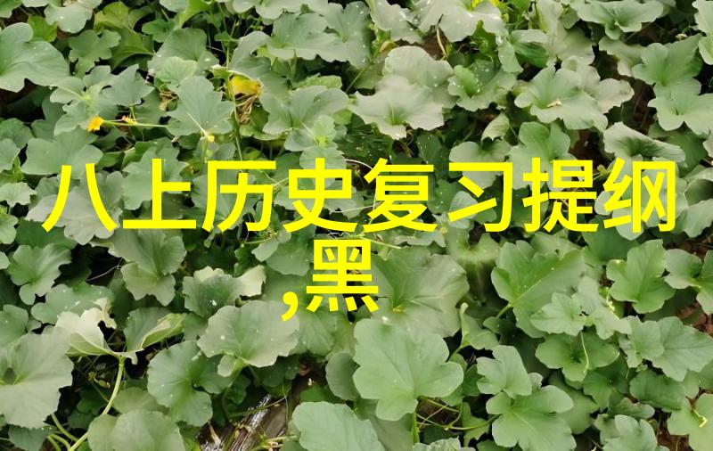 酒庄和产区的关系我是如何深入了解这片葡萄之地的秘密