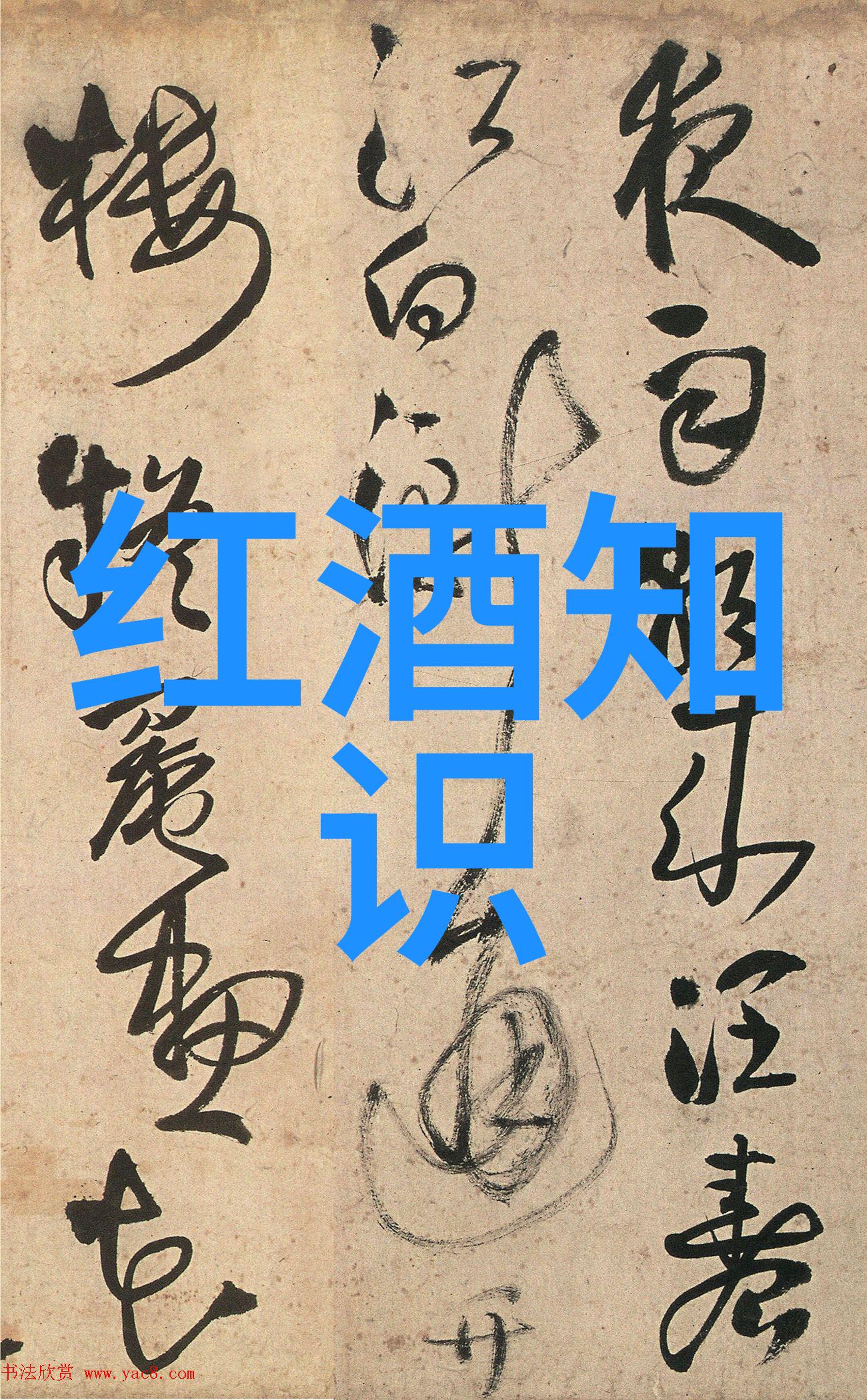 法国红酒图案品味葡萄园的艺术与传统