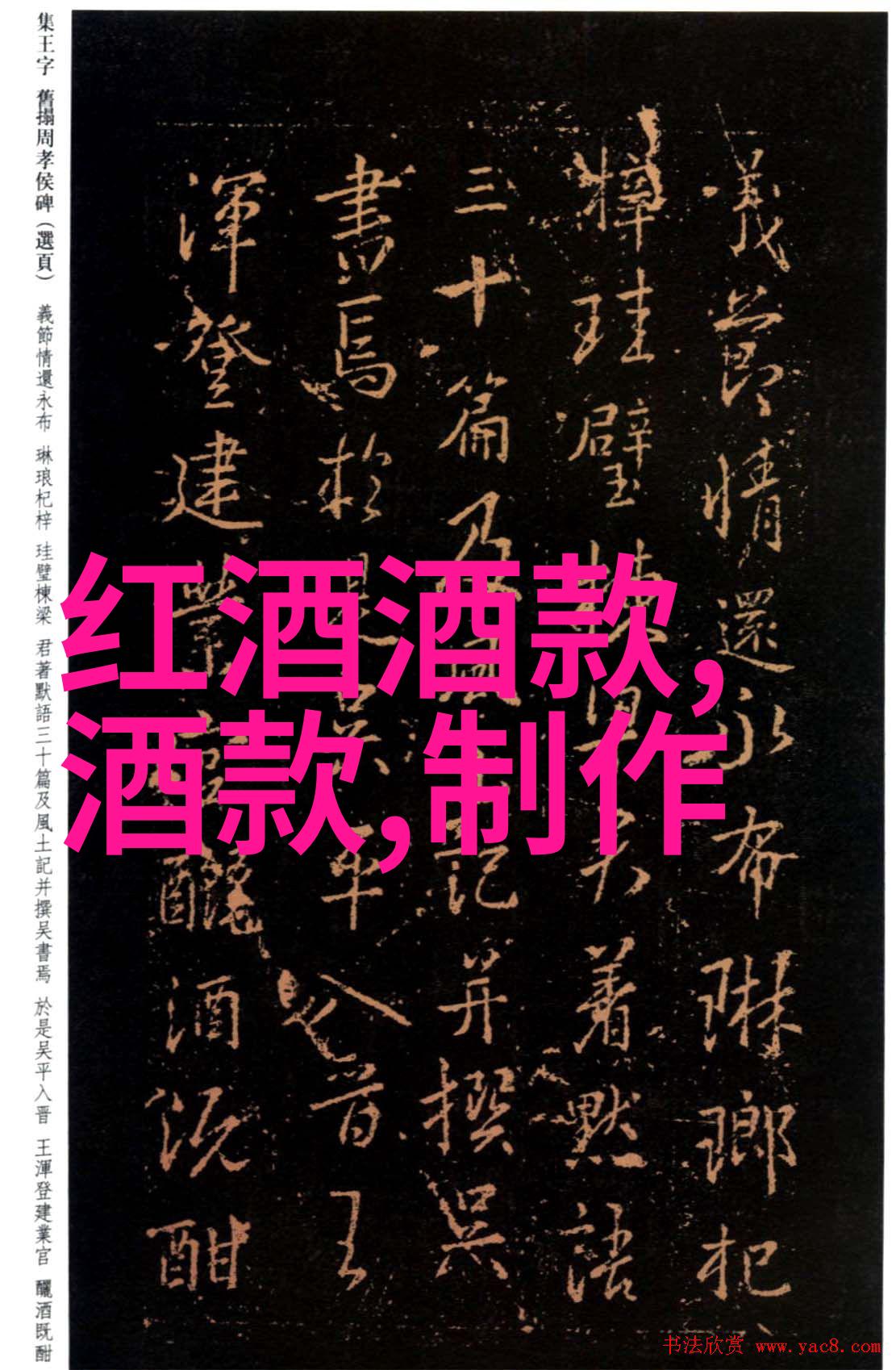 他们在不同的领域内取得了怎样的卓越成就