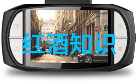 亲近大自然实拍不同季节的玉米成长过程