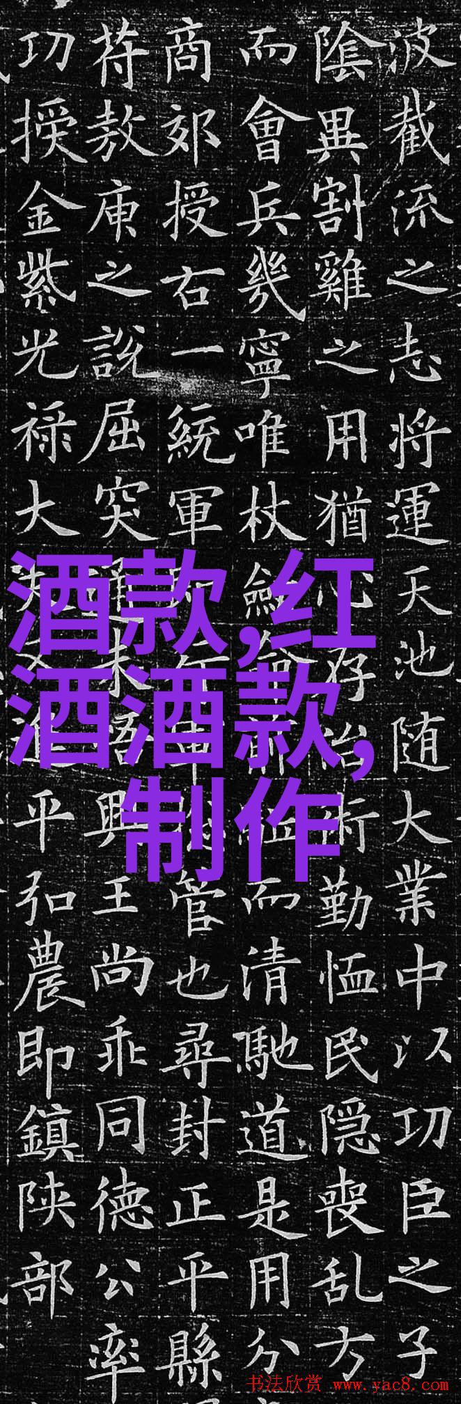 猫猫种类咪咪的秘密世界我是如何认识各种猫猫的