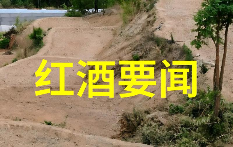 找个邻居来玩一玩的好时光