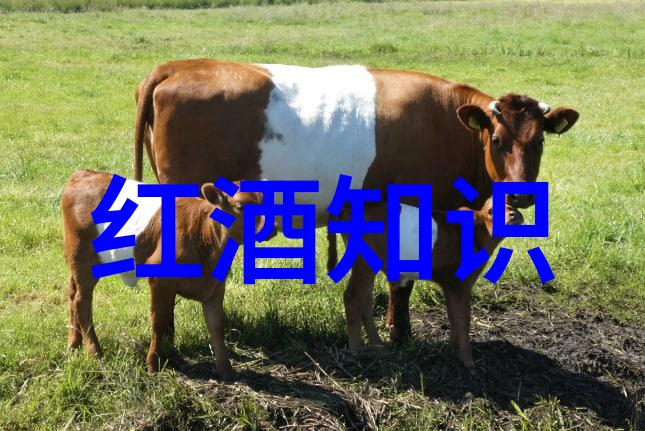 逆袭之道从凡人到遮天的传奇