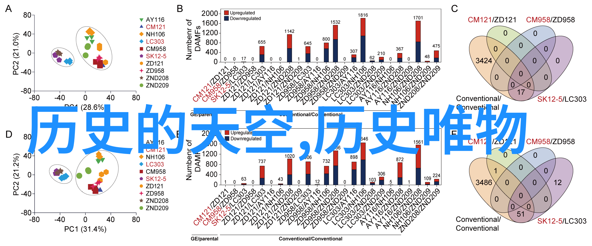 探索上海周边房价最低地揭秘江苏浙江沿线的经济适用房区