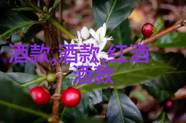猫咪的品种与价格之谜解析