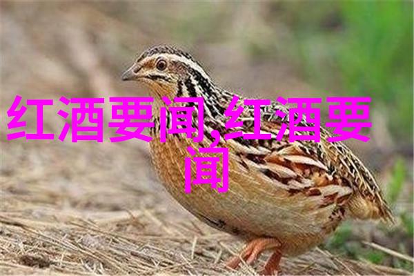 红酒相关的资料-品鉴师的指南揭秘红酒世界中的珍稀佳酿