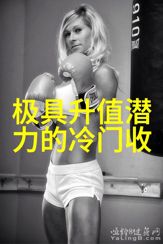 红酒知识宝库揭秘葡萄园到杯台的醇香之旅
