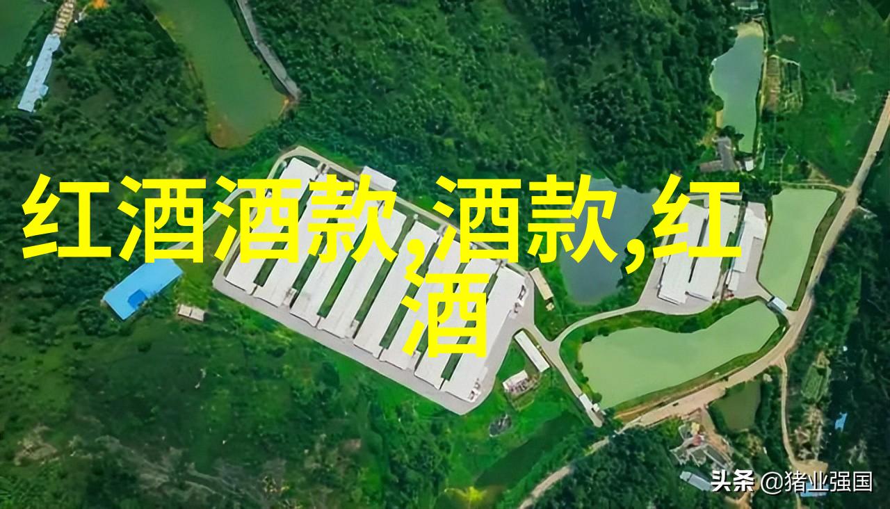 玫瑰花名称大全-绚烂的色彩探索各种名贵与常见的玫瑰花种类