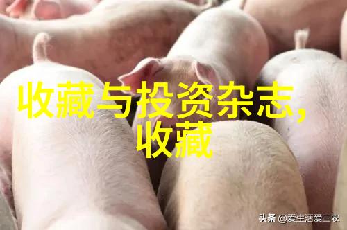 春夏秋冬永恒之恋四季可开玫瑰推荐