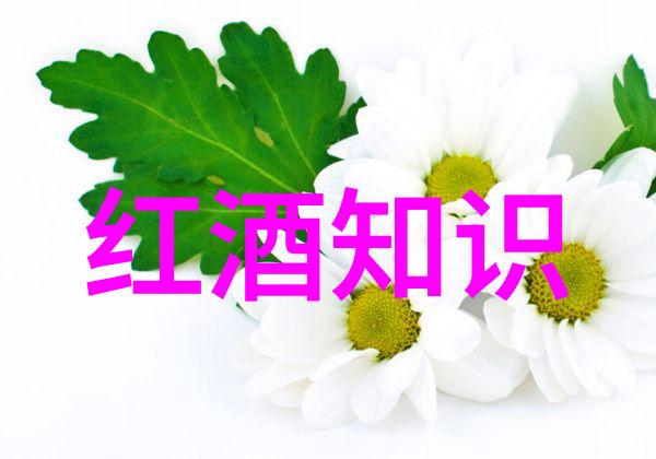 奇幻与沉浮明朝历史的诡异篇章