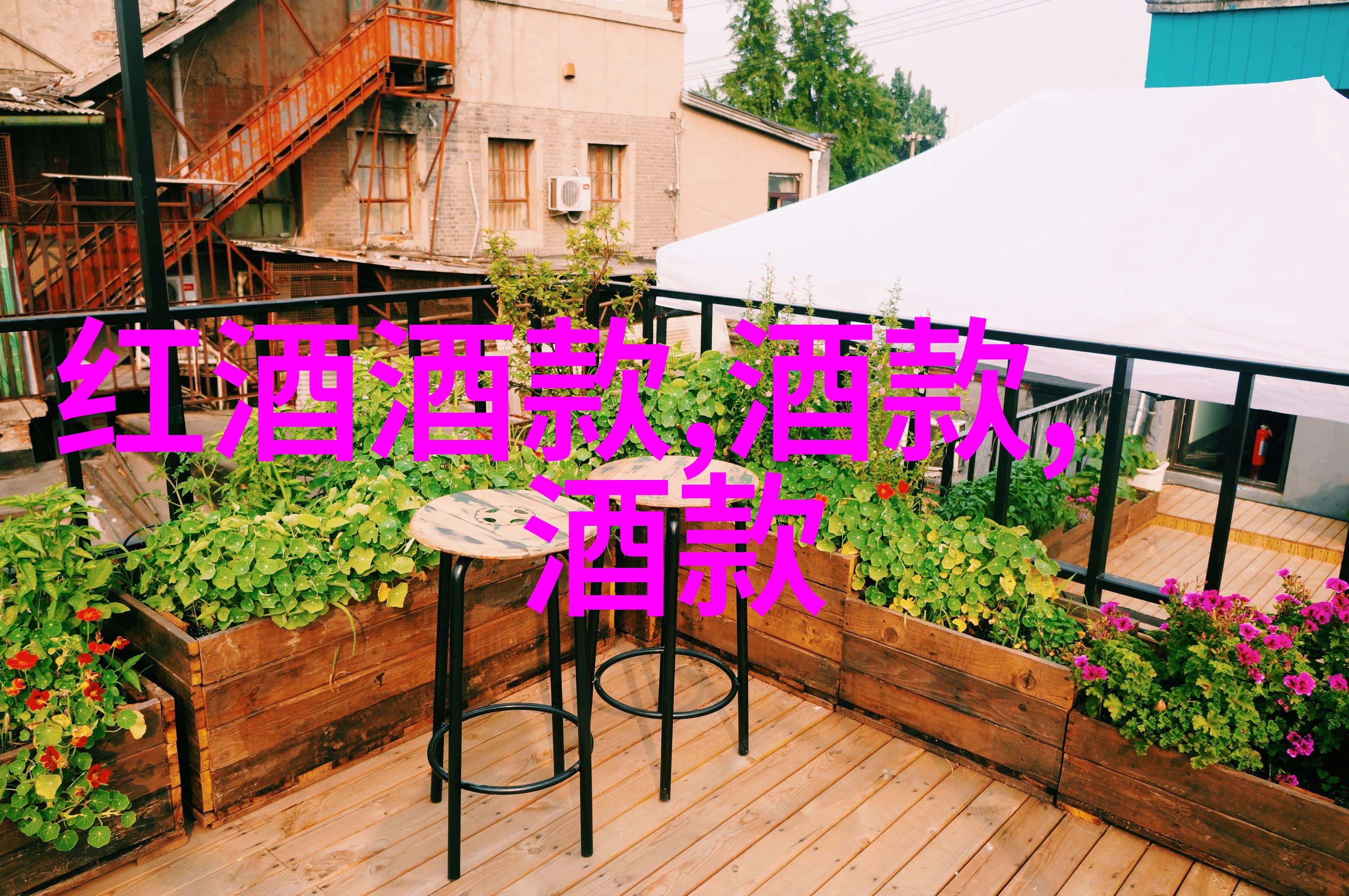 藏品与弃置探秘收藏期刊的反差世界