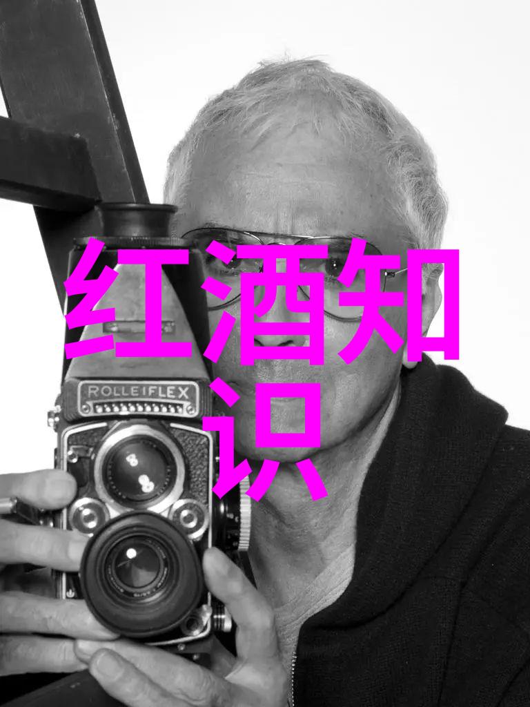 玫瑰品种大全图解探索百花繚乱的世界
