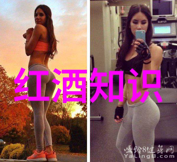 醉笔江山探秘中国传统酒文化的书籍佳作