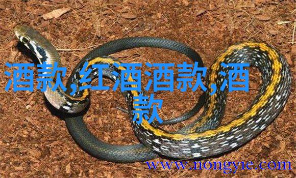 两个人手牵手的红酒图片反复探讨干红葡萄酒与普通红葡萄酒之间的差异让你一听内行人之言便能深刻领悟