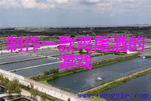 从圣城到流放地犹太人的起源与历史的反差篇章