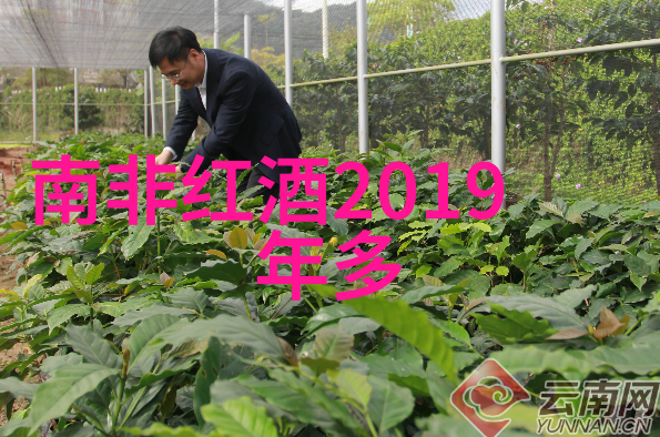 历史长河中的闪耀星辰36位改变世界的卓越人物