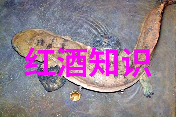 超级海岛牧场梦想的绿洲与丰收的乐章