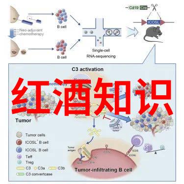 天津周边游2-3天去哪里探索北方古运河风情