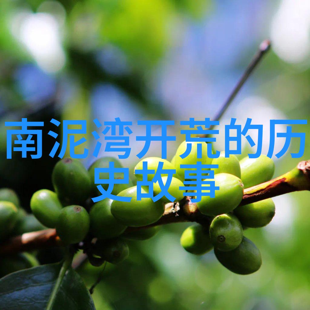 Carneros纳帕谷最凉爽产区的收藏历史从何处打开看