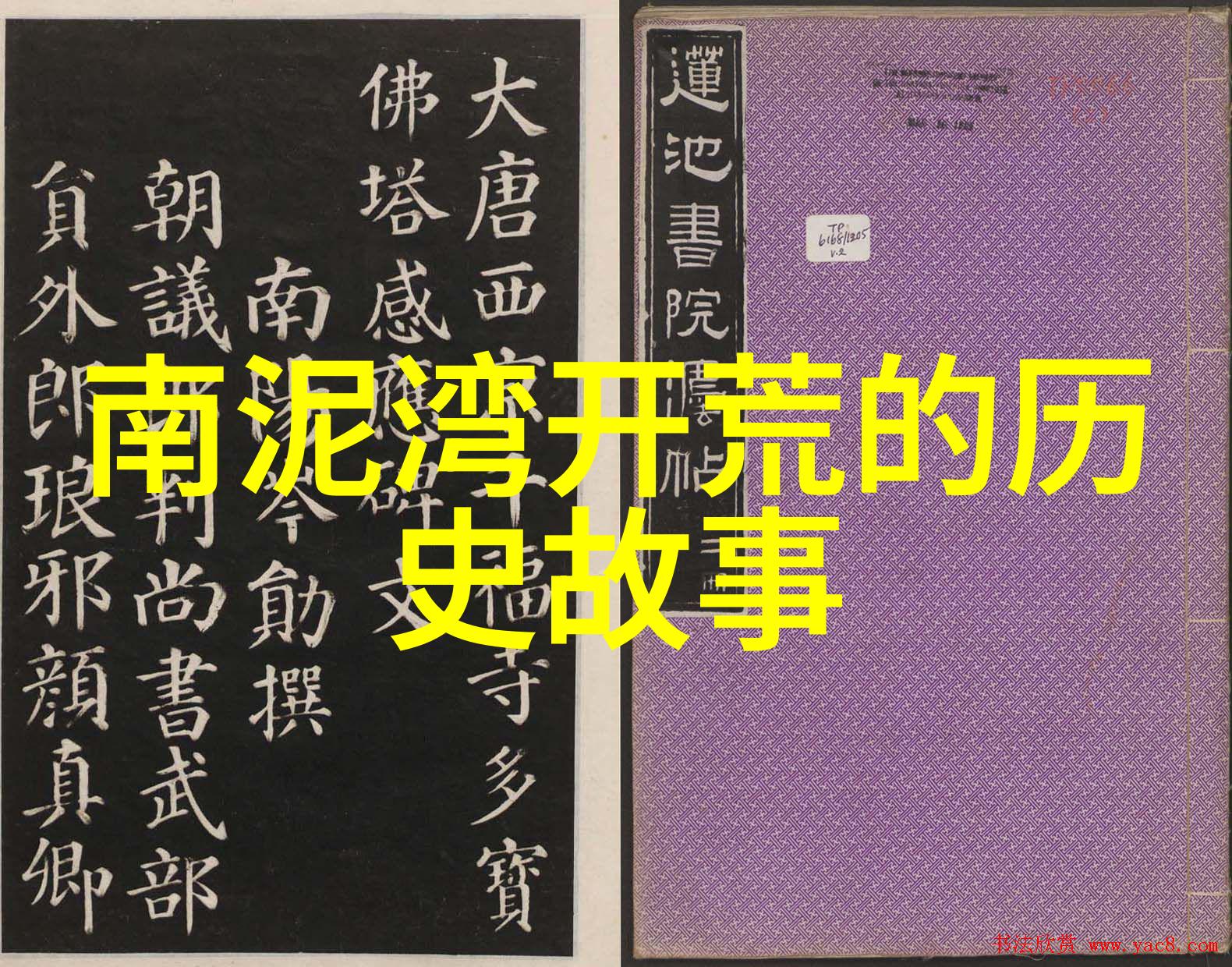 宫廷秘闻-殿下的囚宠逆袭的宦官与皇后的悲恋