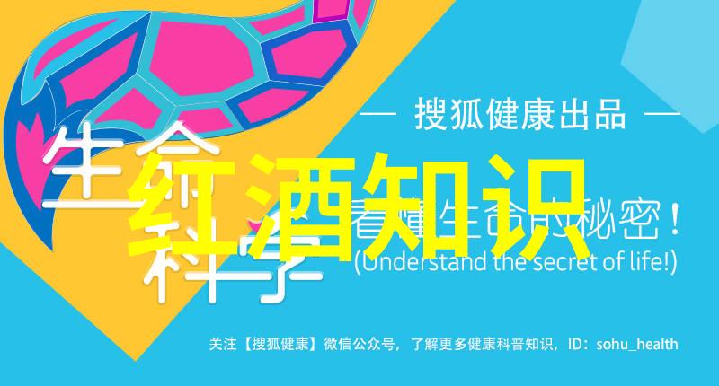 从历史虚无到历史重构重新审视过去