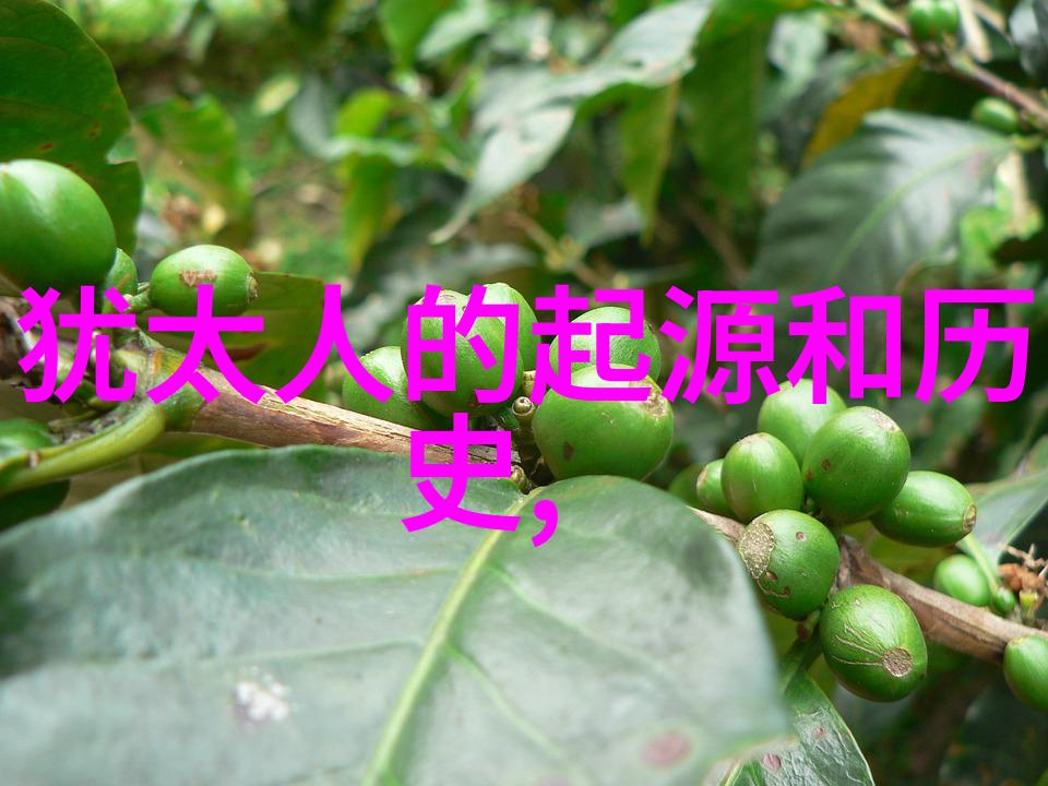 玉米品种资料-玉米宝库探索世界上最受欢迎的20个品种