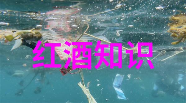 猫咪品种识别 - 揭秘宠物圈的智慧领袖猫咪品种大辨认