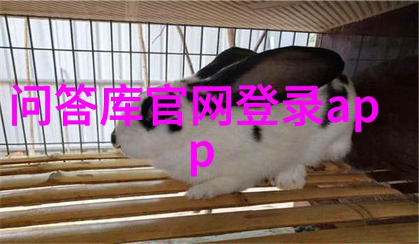 国际关系-中国表态调整马尔维纳斯群岛归属问题新发展
