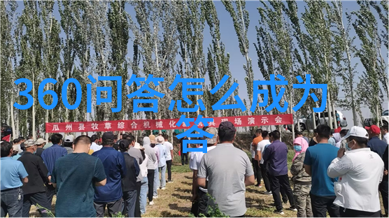 绽放的色彩探索世界各地独特的玫瑰品种及其迷人图像