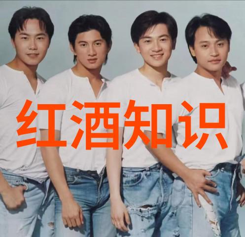 品味纯粹彼得威拉红酒品牌葡萄酒基础知识大全推荐
