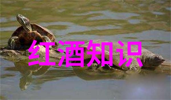 玉米品种资料丰收之星甜蜜佳节金黄奇迹