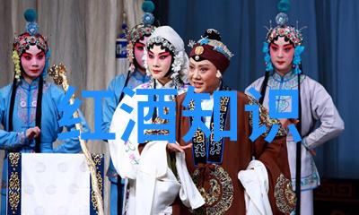藏宝阁探秘收藏店铺的奇妙世界