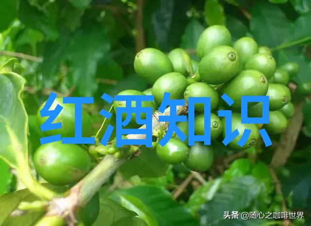 沿着柳丝轻行体验周边城市的柳树之美