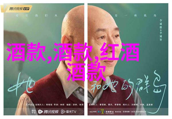 天际裂痕历史的秘密守护者