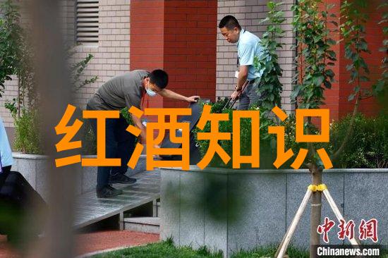 探索上海周边宜居小城市发现隐珠与舒适生活