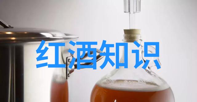 红酒品鉴师之旅从初学者到专家一年的变化