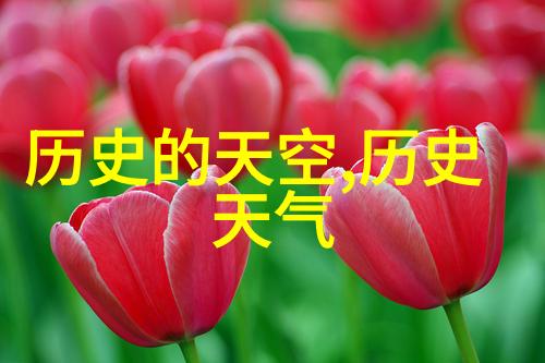 明朝的阴影诡异与传奇的交织