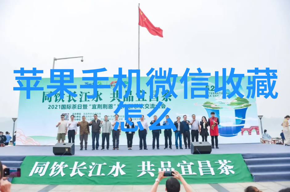 藏品与孤独收藏家的秘密小说