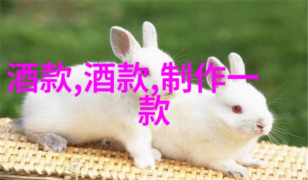 古典与现代的交响探秘上海郊区那些意料之外的好玩之地