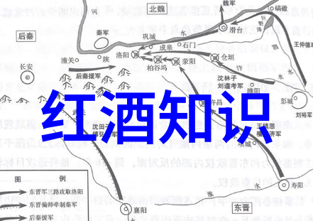 葡萄酒之旅世界主要葡萄酒生产国深度探索法国意大利西班牙美国等地的葡萄酒产业发展历史与特色