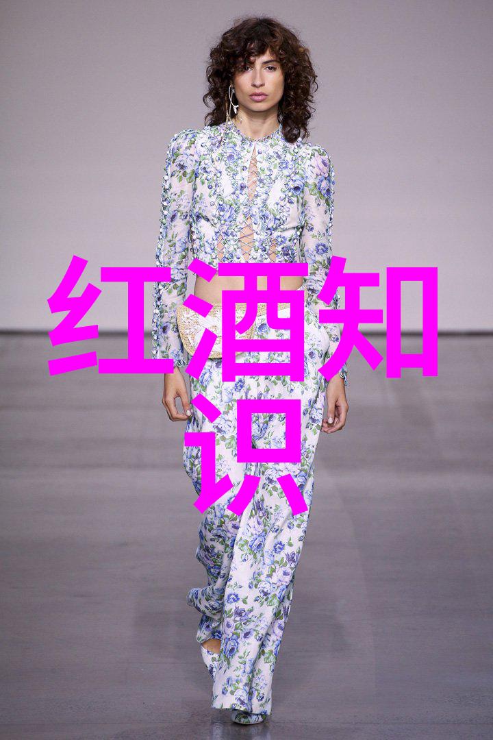 探秘梦幻庄园揭秘隐藏之谜与宝藏寻觅技巧