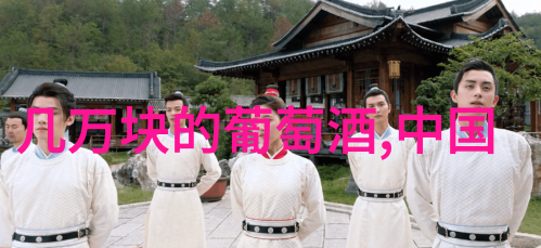 探索法国葡萄酒之冠波尔多与布拉的经典品味