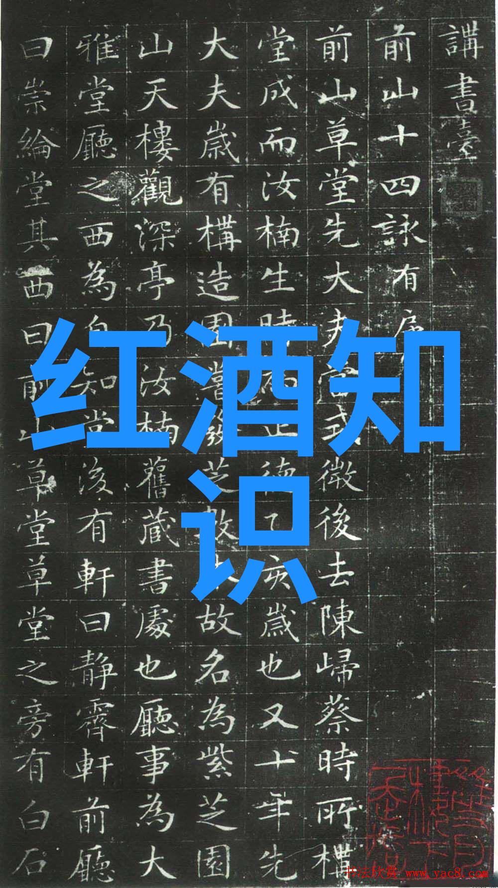 全国钱币收藏博览会盛世汇聚金银货币闪耀历史光芒