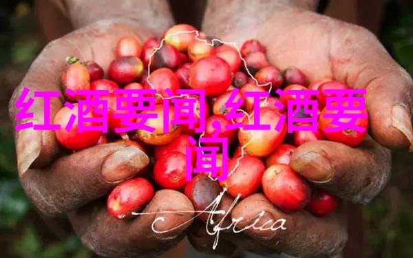 在收藏天下app下载中几乎所有酒商都在不眠夜里疯狂寻找那一瓶价格远低于市场价的神秘葡萄酒以此来抢夺市