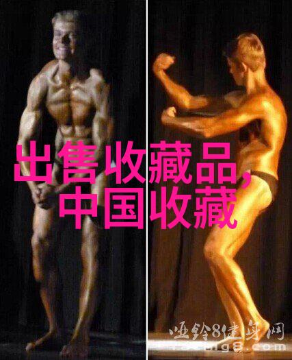 玉米的多样品种玉米品种分类