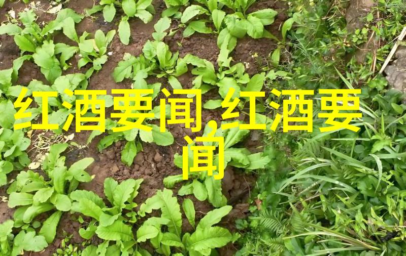 雨后花园上海周边美丽村落自驾发现