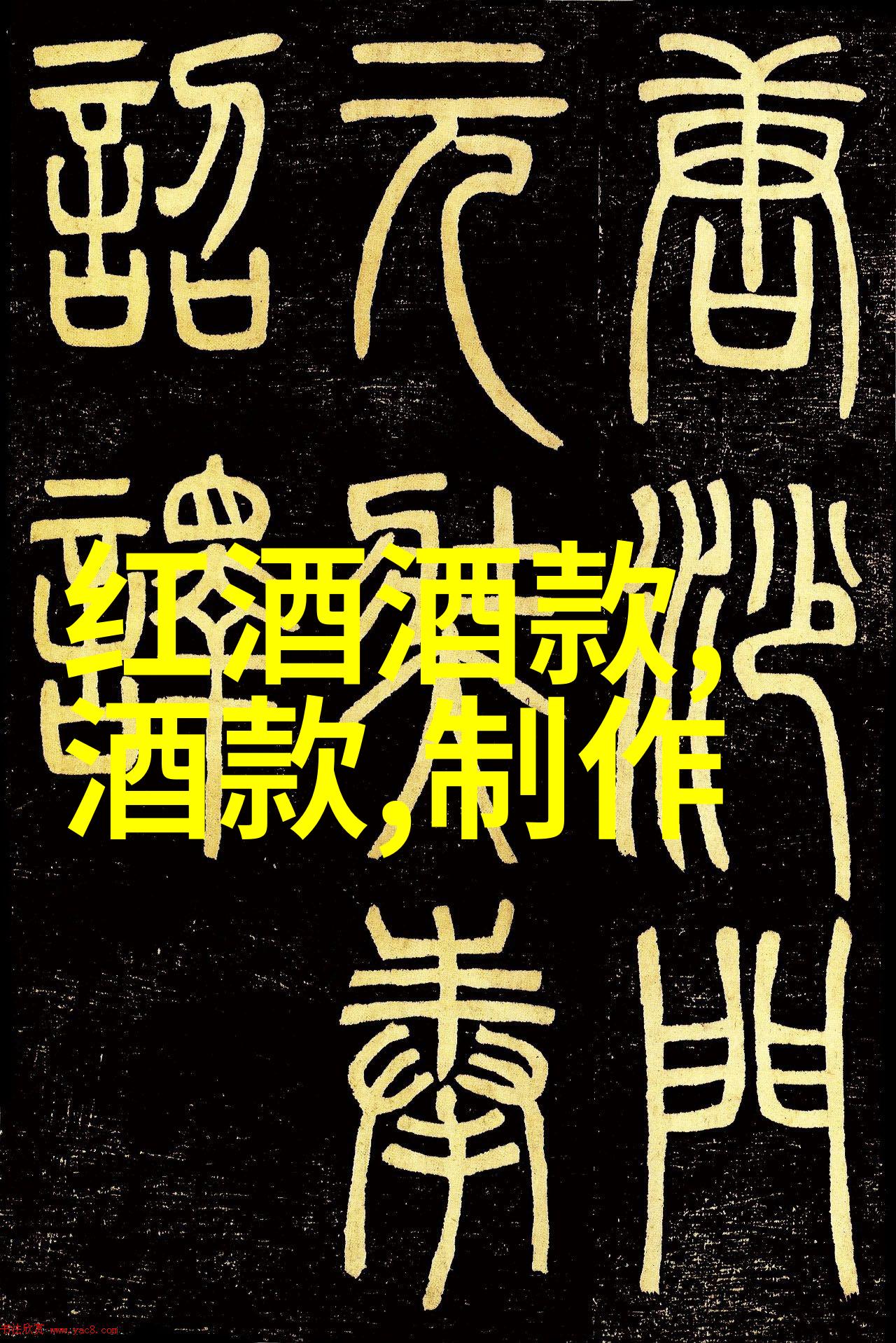 爪缘之旅探秘猫科动物的奇妙多样性