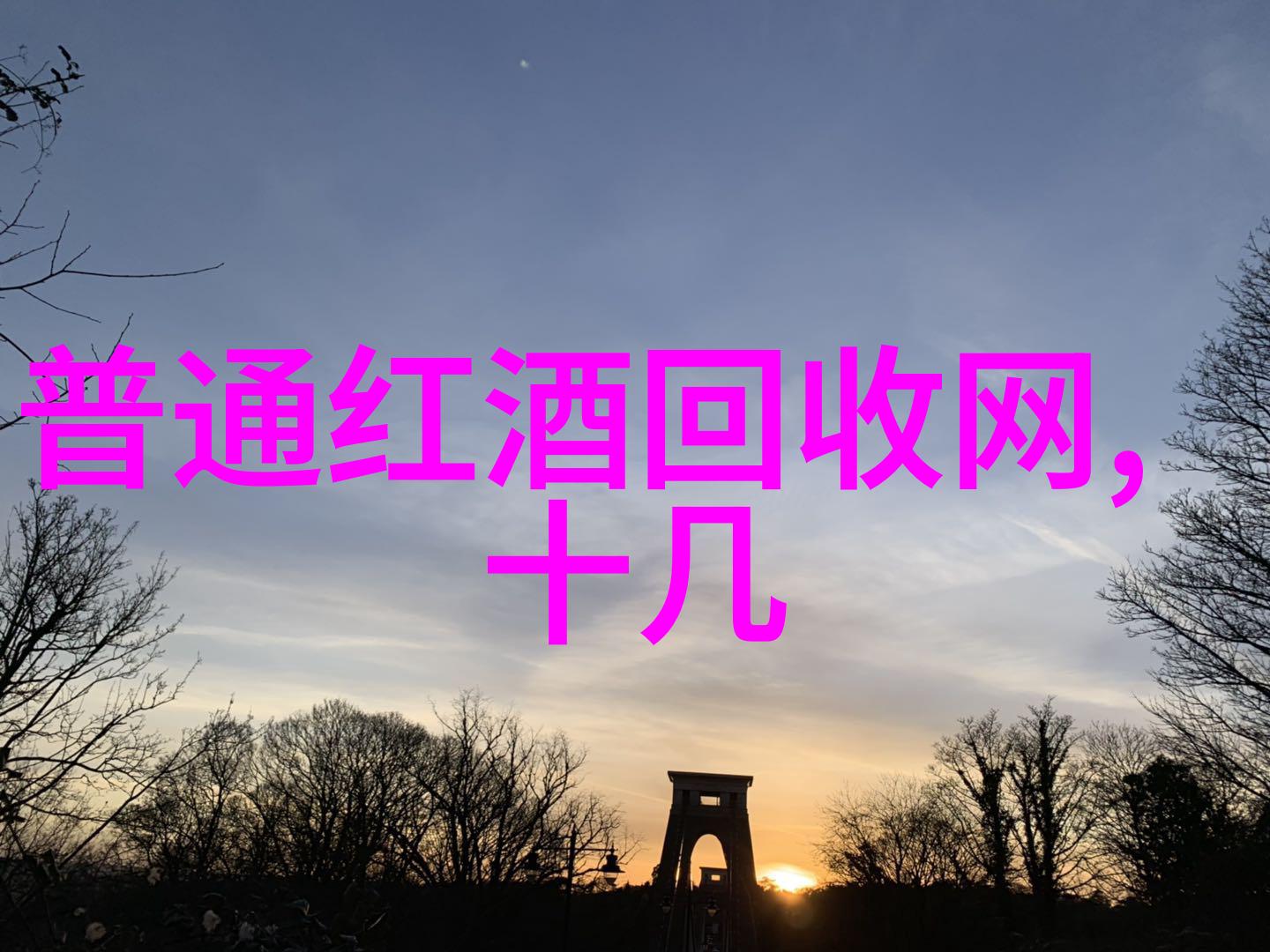 藏品与荒废艺术的双面